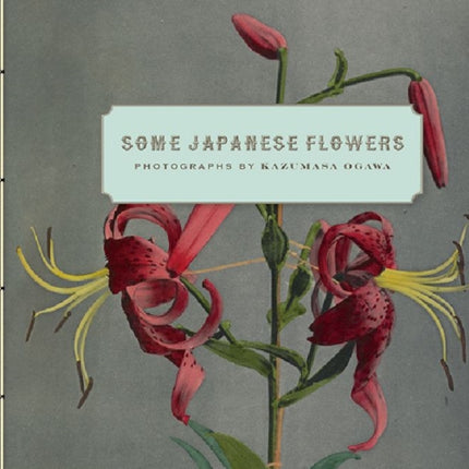 Some Japanese Flowers – Photographs by Kazumasa Ogawa