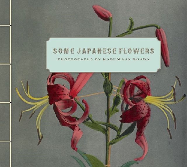 Some Japanese Flowers – Photographs by Kazumasa Ogawa