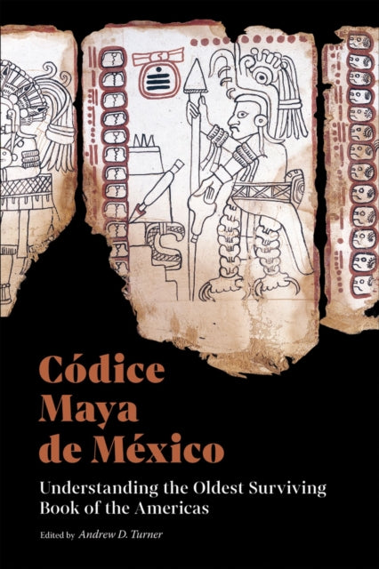 Codice Maya de Mexico: Understanding the Oldest Surviving Book of the Americas