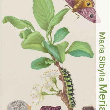 Maria Sibylla Merian