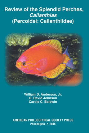 Review of the Splendid Perches, Callanthias