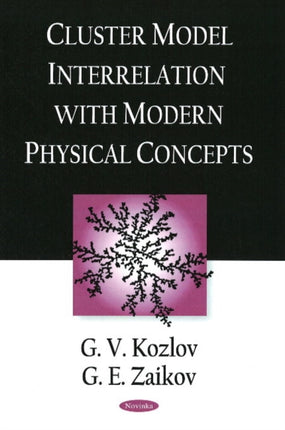 Cluster Model Interrelation with Modern Physical Concepts