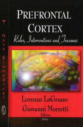 Prefrontal Cortex: Roles, Interventions & Traumas