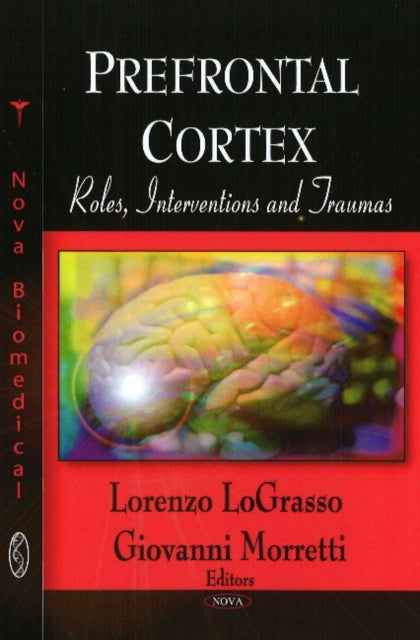 Prefrontal Cortex: Roles, Interventions & Traumas
