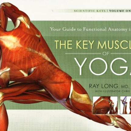 Key Muscles of Yoga: Your Guide to Functional Anatomy in Yoga