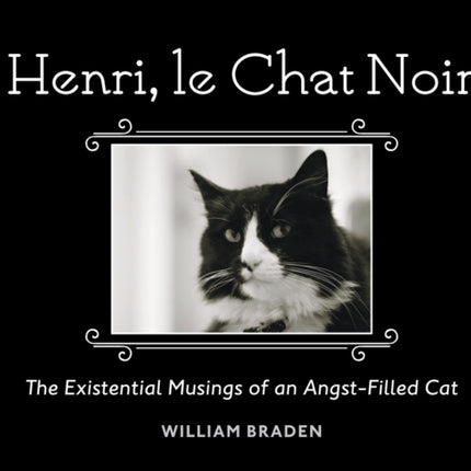 Henri, le Chat Noir: The Existential Musings of an Angst-Filled Cat