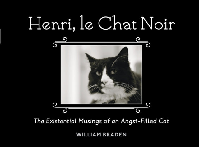 Henri, le Chat Noir: The Existential Musings of an Angst-Filled Cat