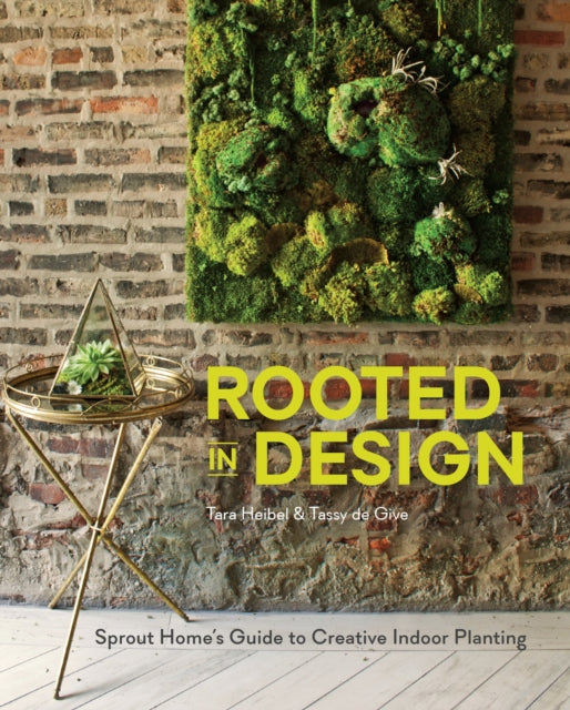 Rooted in Design: Sprout Home's Guide to Creative Indoor Planting