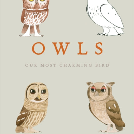 Owls: Our Most Charming Bird