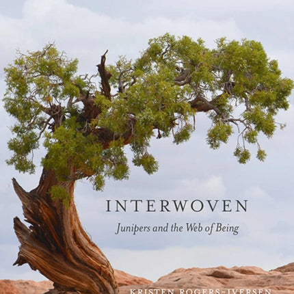Interwoven: Junipers and the Web of Being