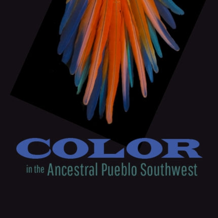 Color in the Ancestral Pueblo Southwest