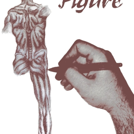 The Human Figure