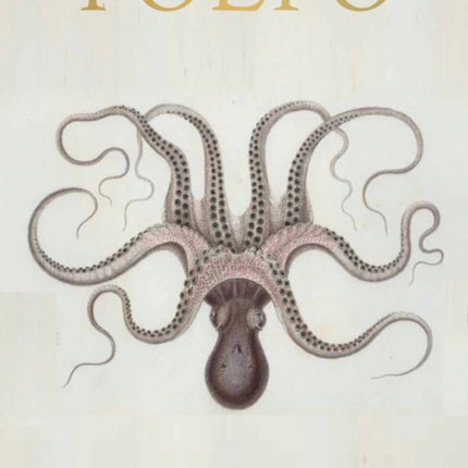 Polpo: A Venetian Cookbook (of Sorts)