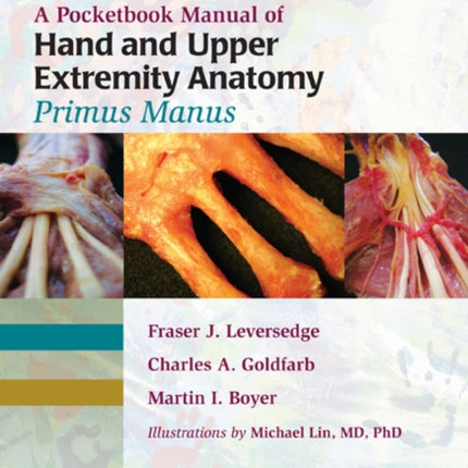 A Pocketbook Manual of Hand and Upper Extremity Anatomy: Primus Manus