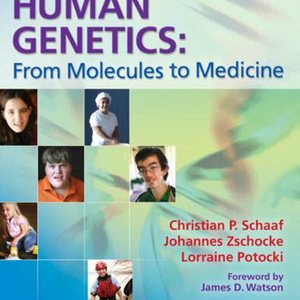 Human Genetics: From Molecules to Medicine