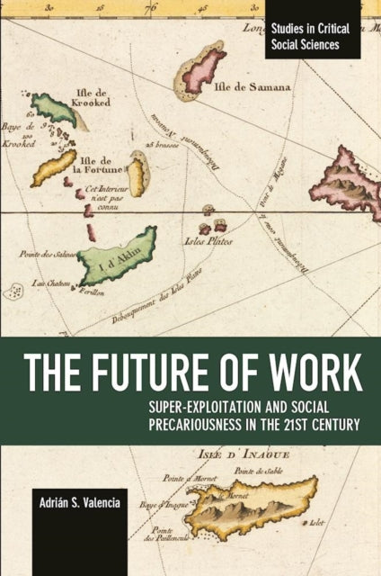 The Future Of Work: Super-exploitation And Social Precariousness In The 21st Century: Studies in Critical Social Science Volume 81