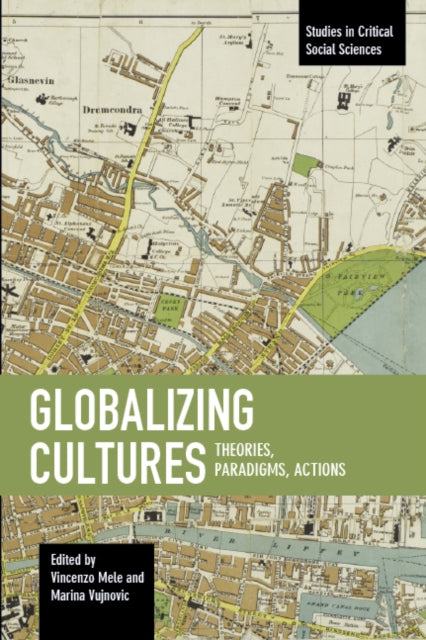 Globalizing Cultures: Theories, Paradigms, Actions: Studies in Critical Social Science, Volume 82