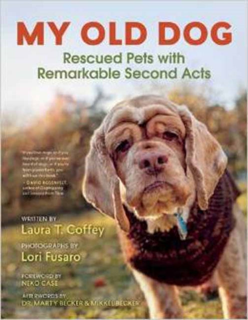 My Old Dog: Rescued Pets with Remarkable Second Acts