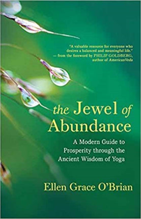 The Jewel of Abundance: A Modern Guide to Prosperity through the Ancient Wisdom of Yoga