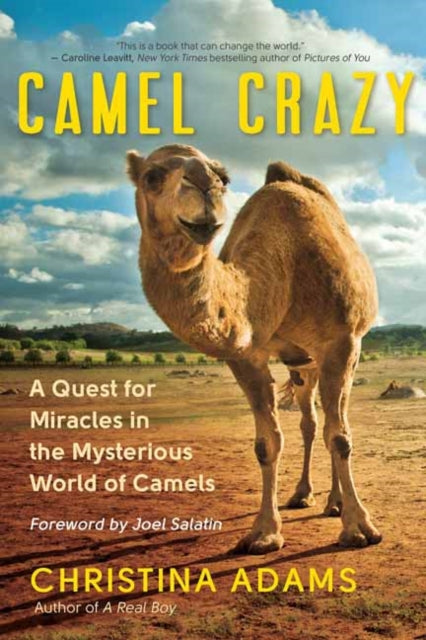 Camel Crazy: A Quest for Healing in the Secret World of Camels