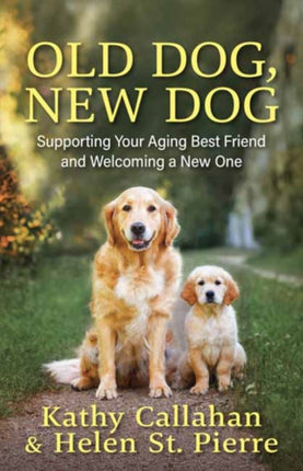 Old Dog New Dog