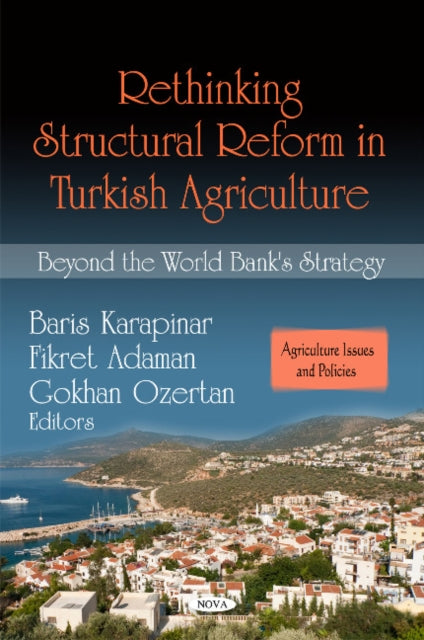 Rethinking Structural Reform in Turkish