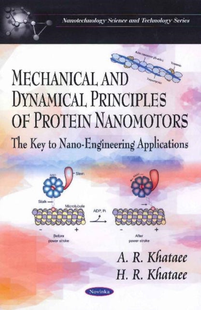 Mechanical & Dynamical Principles of Protein Nanomotors: The Key to Nano-Engineering Applications