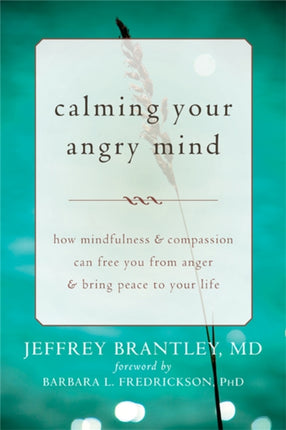Calming Your Angry Mind: How Mindfulness and