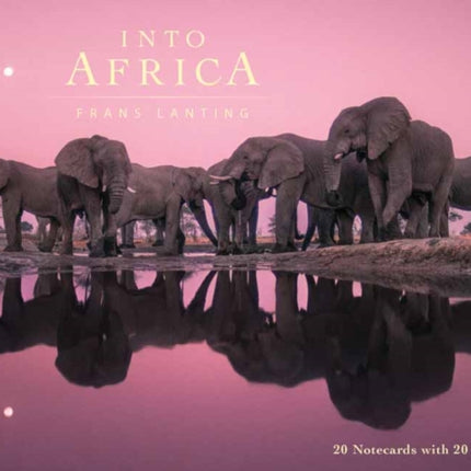 Into Africa: Blank Boxed Notecards