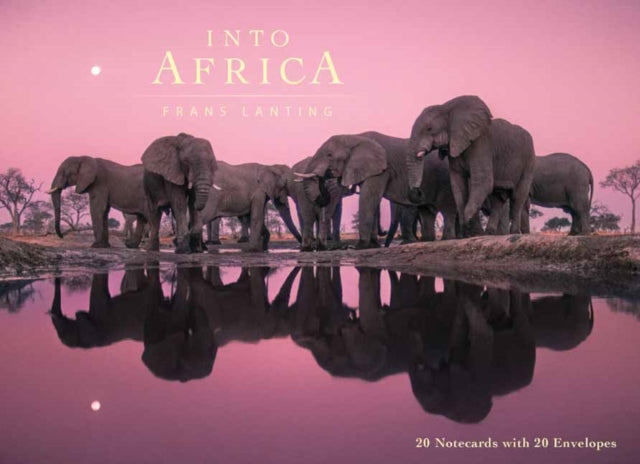 Into Africa: Blank Boxed Notecards