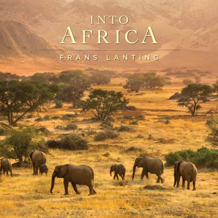 Into Africa