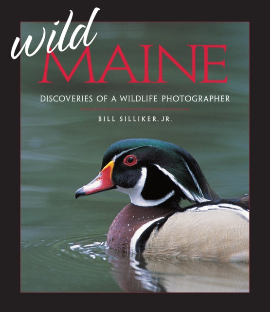 Wild Maine: Discoveries of a Wildlife Photographer