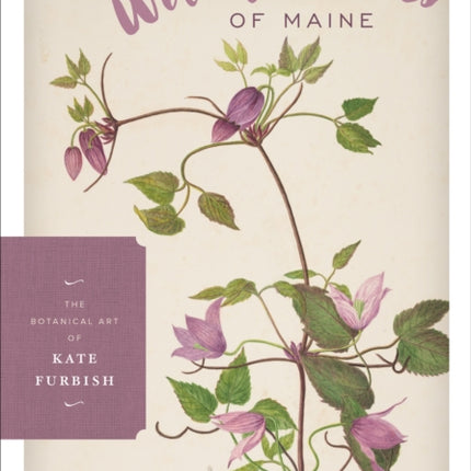 Wildflowers of Maine