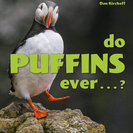 Do Puffins Ever . . .?