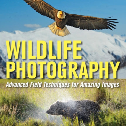 Wildlife Photography