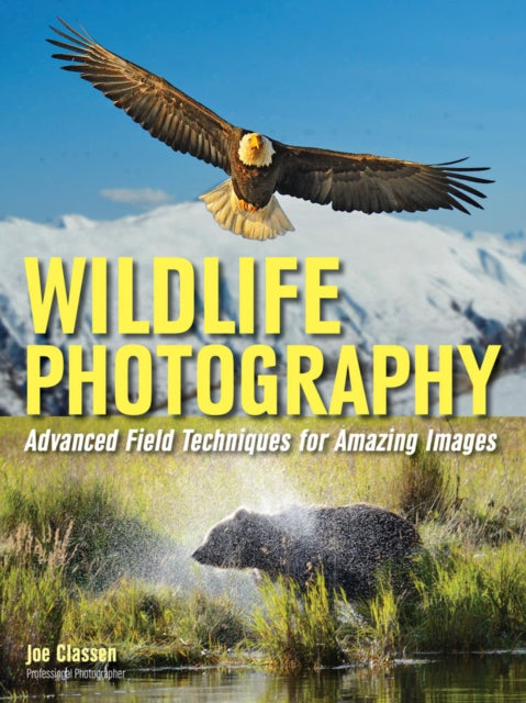 Wildlife Photography  Advanced Field Techniques for Tracking Elusive Animals and Capturing Magical Moments