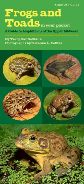 Frogs and Toads in Your Pocket: A Guide to
