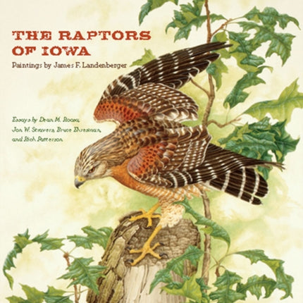 The Raptors of Iowa