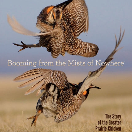 Booming from the Mists of Nowhere: The Story of the Greater PrairieChicken