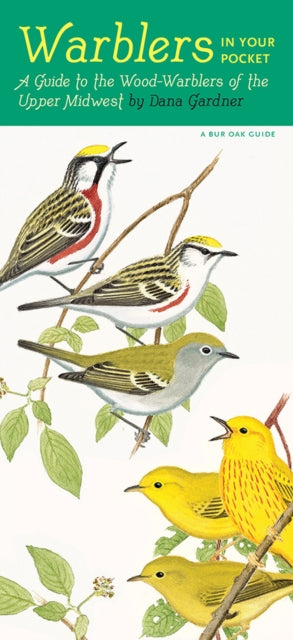 Warblers in Your Pocket: A Guide to the