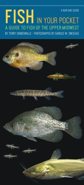 Fish in Your Pocket: A Guide to Fish of the Upper