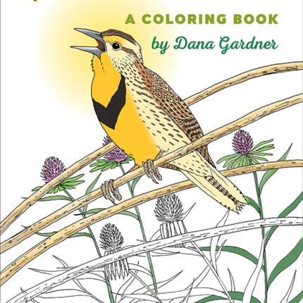 North American Birds: A Coloring Book