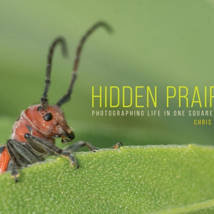 Hidden Prairie: Photographing Life in One Meter