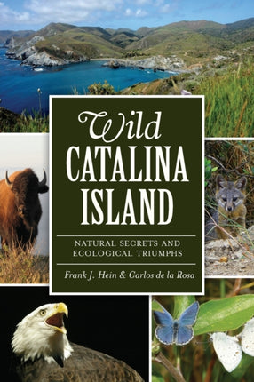 Wild Catalina Island Natural Secrets and Ecological Triumphs