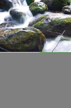Leading for Excellence: A Twelve Step Program to