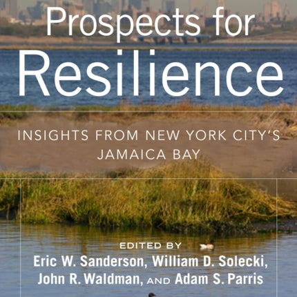 Prospects for Resilience: Insight from New York City's Jamaica Bay