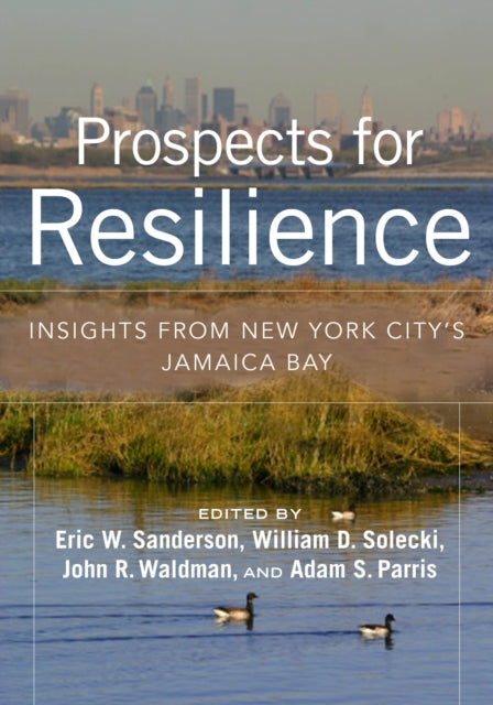 Prospects for Resilience: Insight from New York City's Jamaica Bay