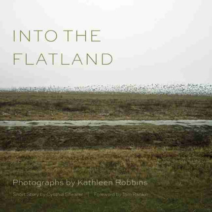 Into the Flatland