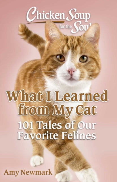 Chicken Soup for the Soul What I Learned from My