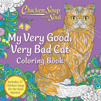 Chicken Soup for the Soul My Very Good Very Bad
